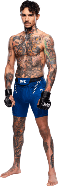 Andre Fili